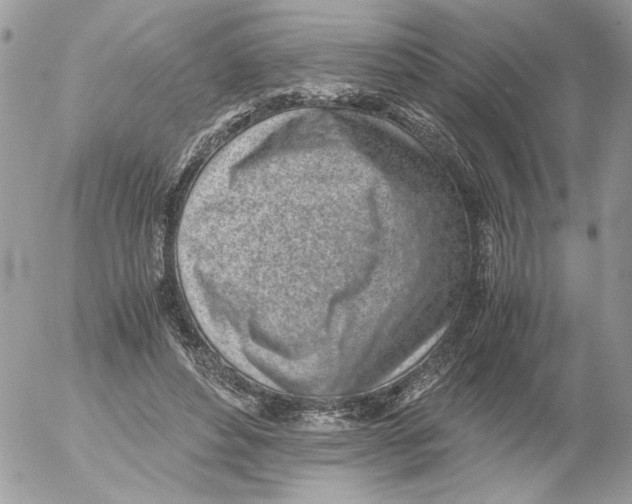 X0000052580496200507292036