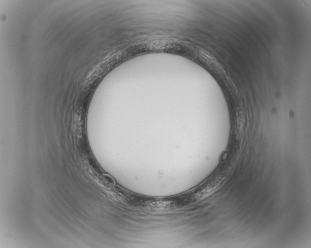 X0000052580497200507292036