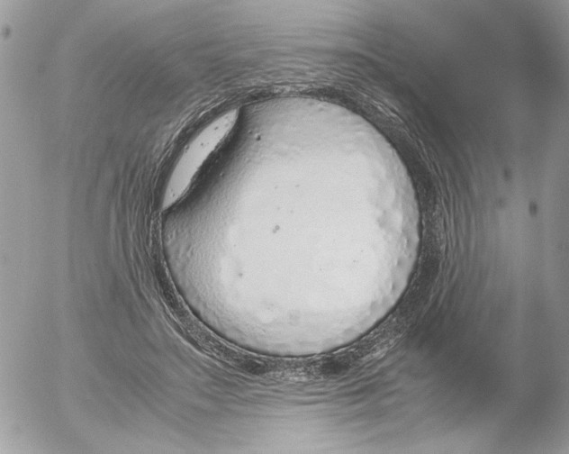 X0000052580499200507292035