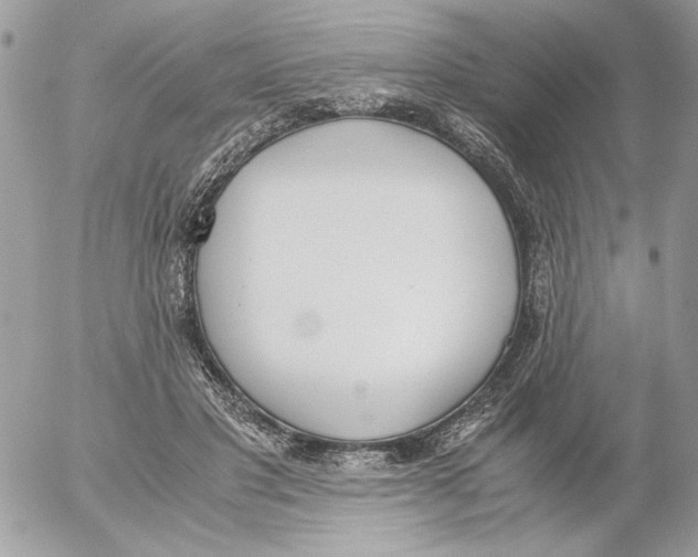 X0000052580501200507292035