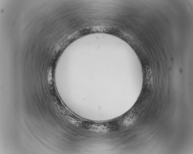 X0000052580502200507292035