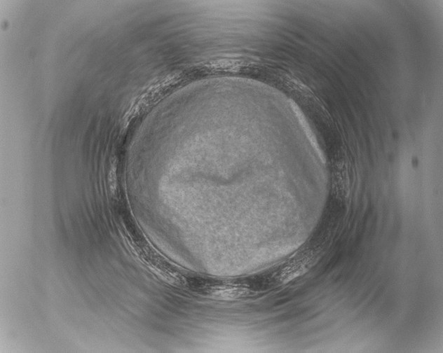 X0000052580504200507292035