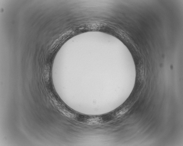 X0000052580505200507292035