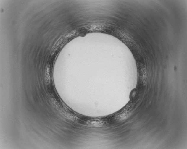 X0000052580506200507292035