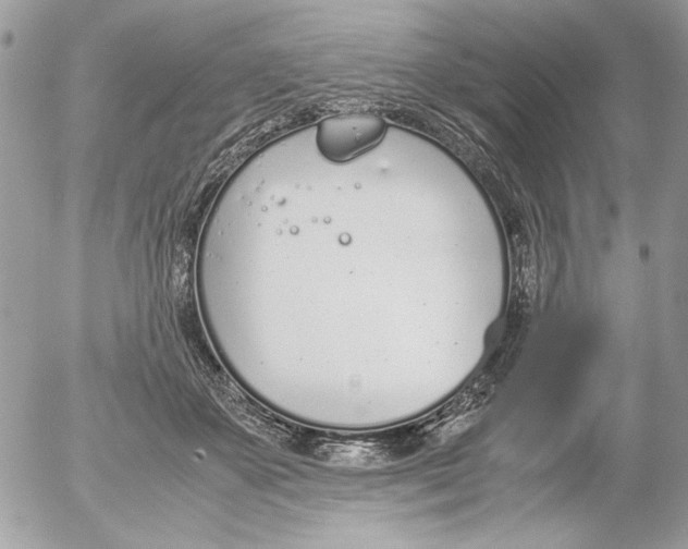 X0000052580507200507292035