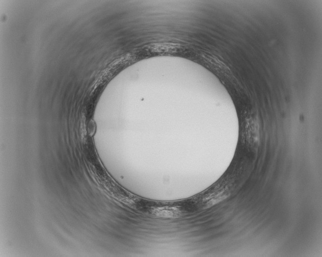 X0000052580508200507292035