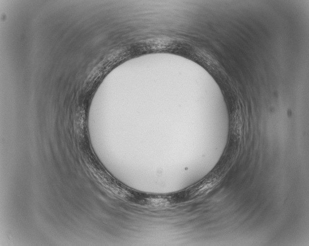 X0000052580509200507292035