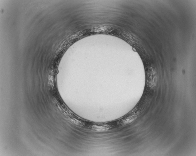 X0000052580510200507292035