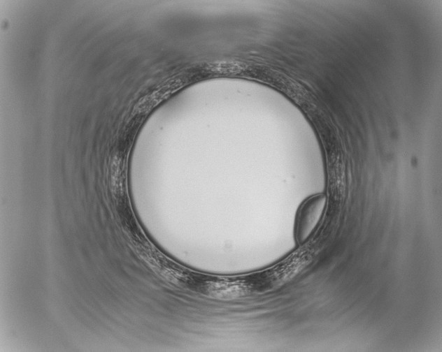 X0000052580511200507292035