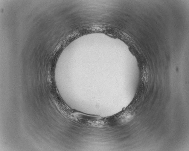 X0000052580512200507292035