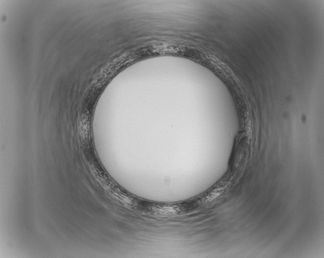 X0000052580513200507292035