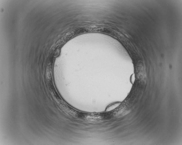 X0000052580515200507292035