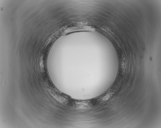 X0000052580516200507292035