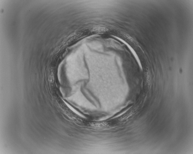 X0000052580517200507292035