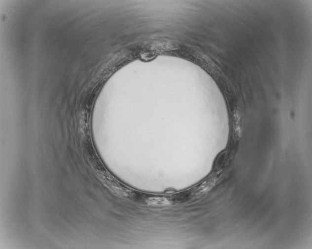 X0000052580519200507292035