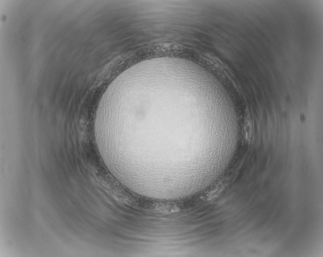 X0000052580520200507292035