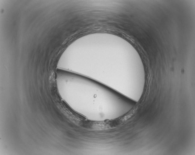 X0000052580521200507292035