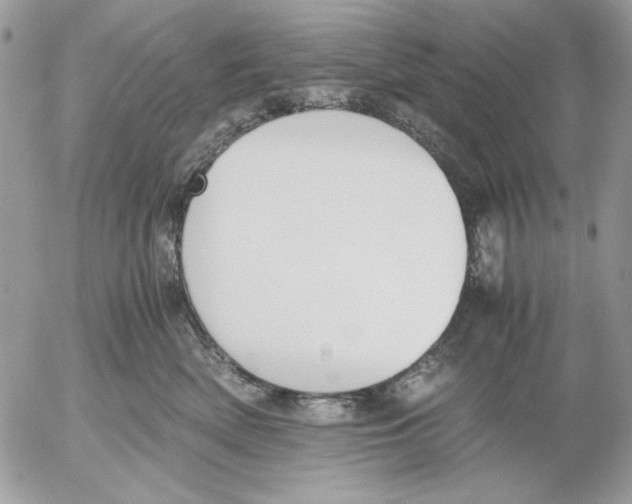 X0000052580522200507292035