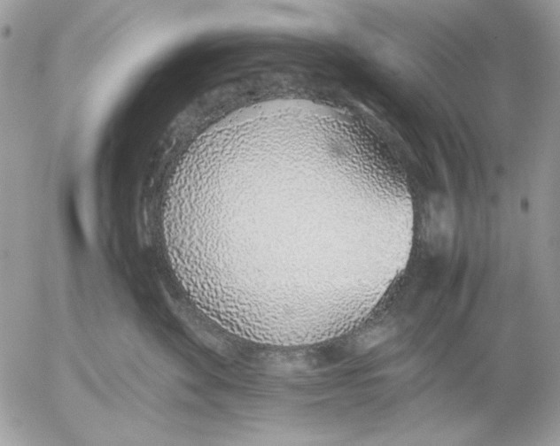 X0000052580524200507292035