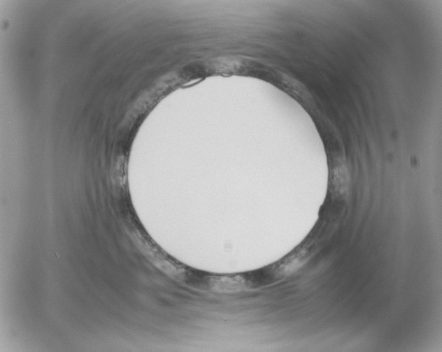 X0000052580525200507292035