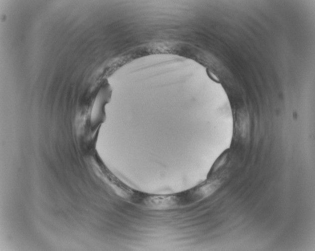 X0000052580526200507292035