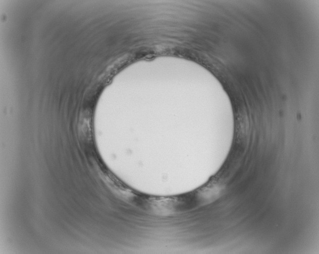 X0000052580527200507292035