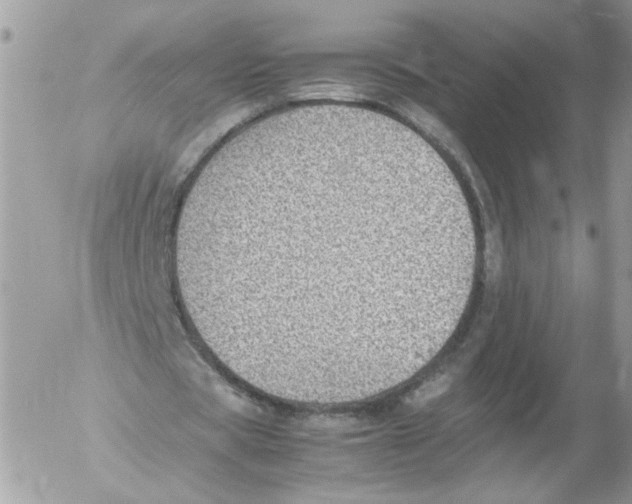 X0000052580529200507292034