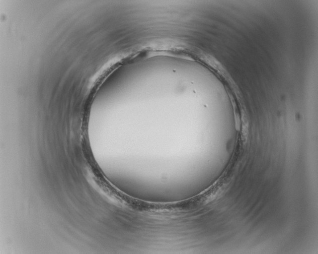 X0000052580530200507292034