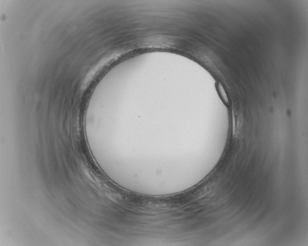 X0000052580531200507292034