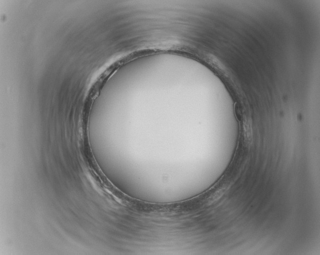 X0000052580532200507292034