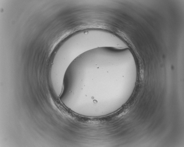 X0000052580534200507292034