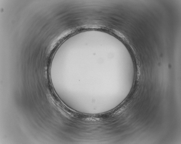 X0000052580535200507292034