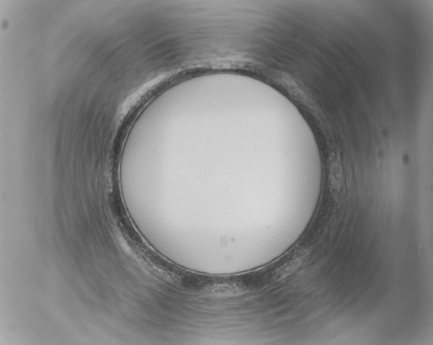 X0000052580536200507292034