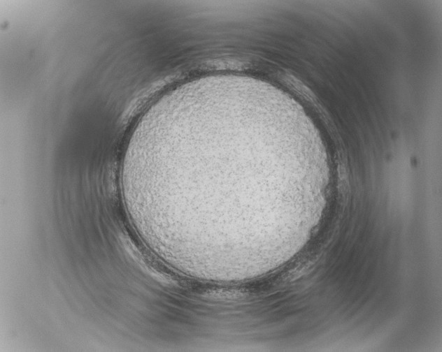 X0000052580537200507292034