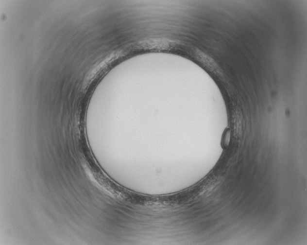 X0000052580538200507292034