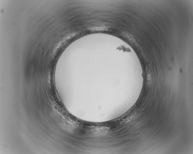 X0000052580539200507292034