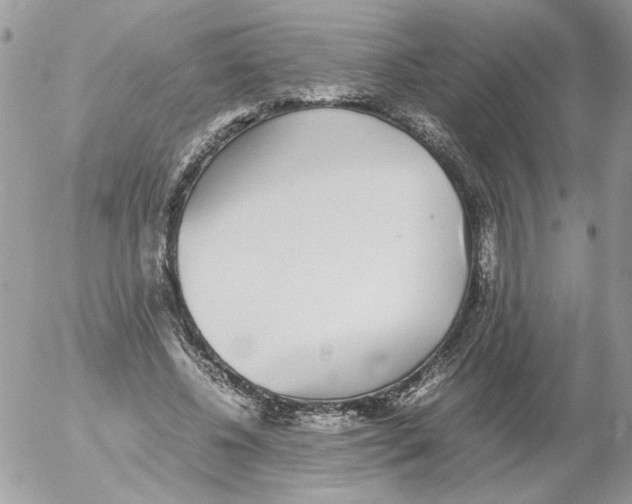 X0000052580540200507292034