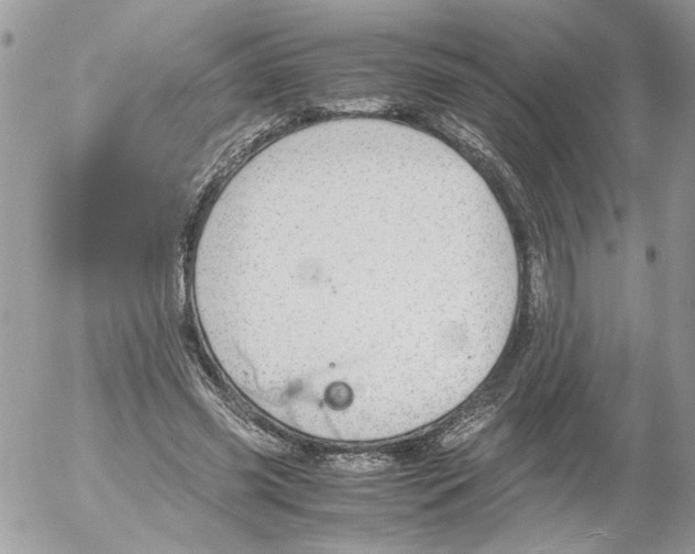 X0000052580541200507292034