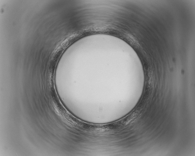 X0000052580542200507292034