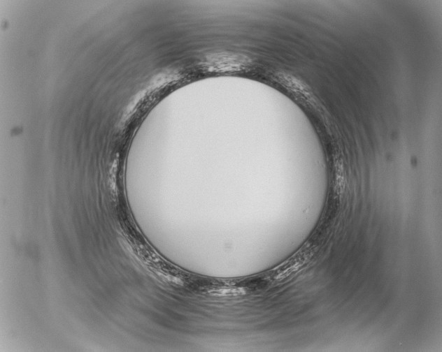 X0000052580543200507292034