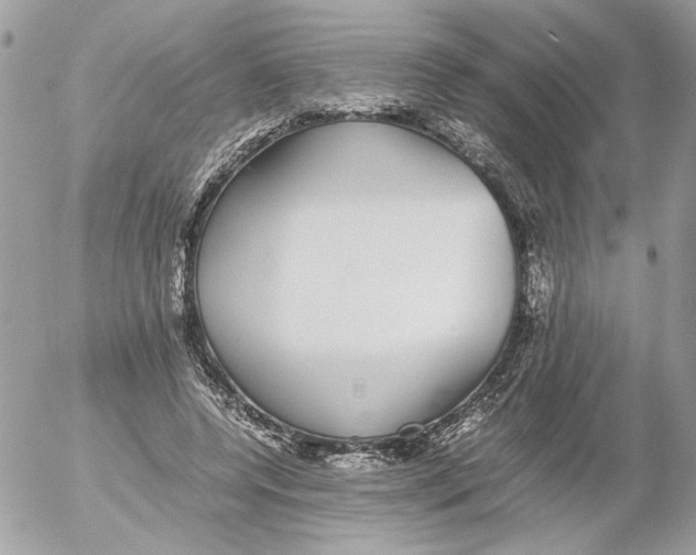 X0000052580544200507292034