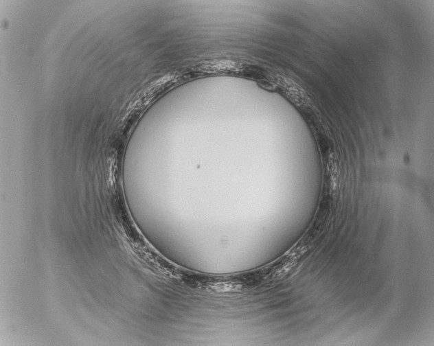 X0000052580546200507292034