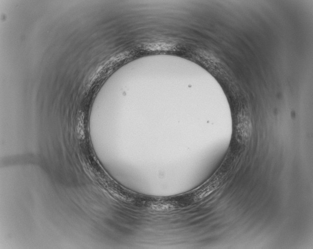 X0000052580547200507292034