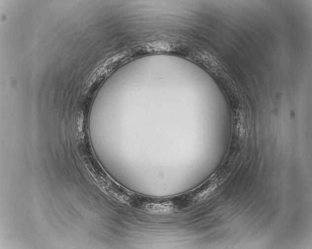 X0000052580548200507292035