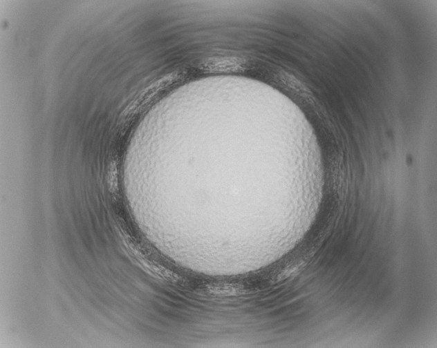 X0000052580549200507292035