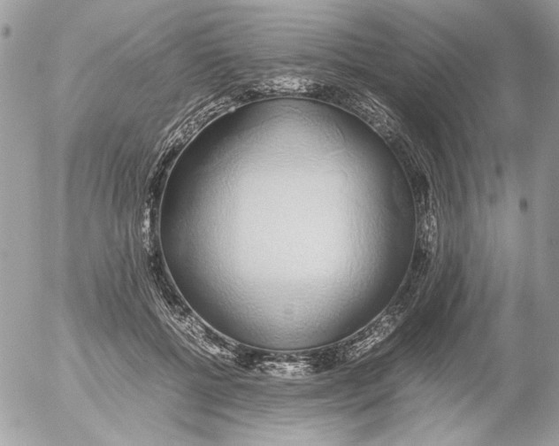 X0000052580552200507292035