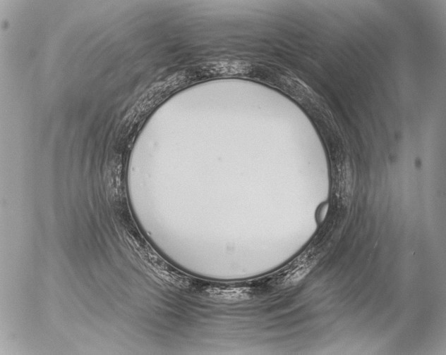 X0000052580553200507292035