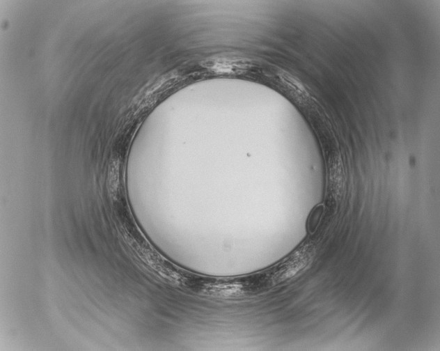 X0000052580554200507292035