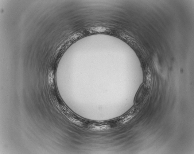 X0000052580555200507292035