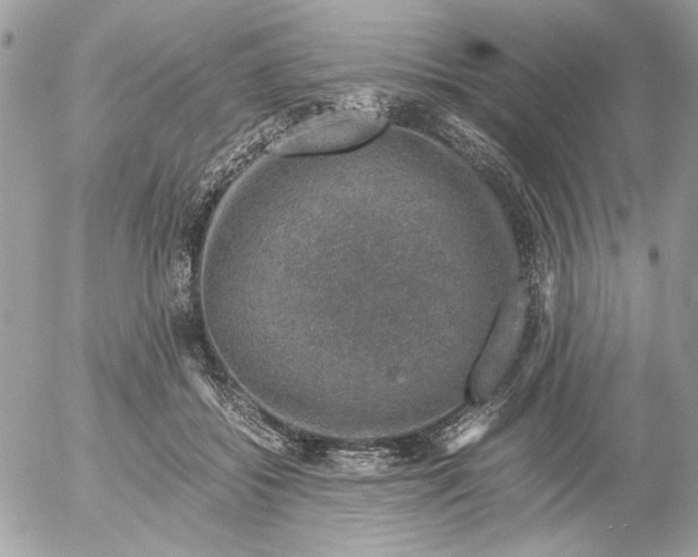 X0000052580556200507292035